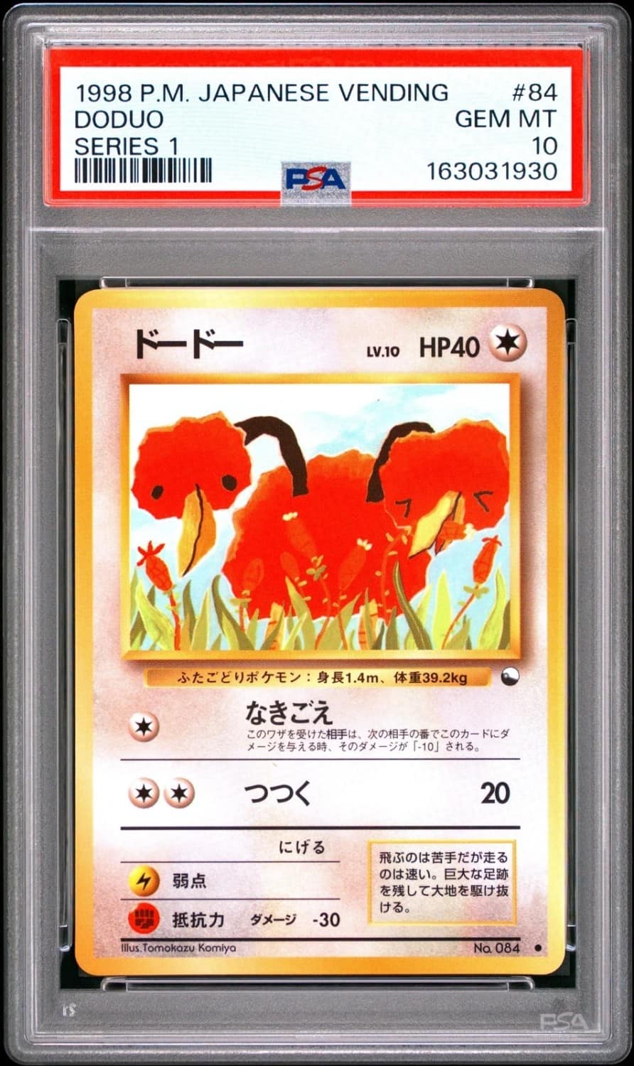 Doduo
