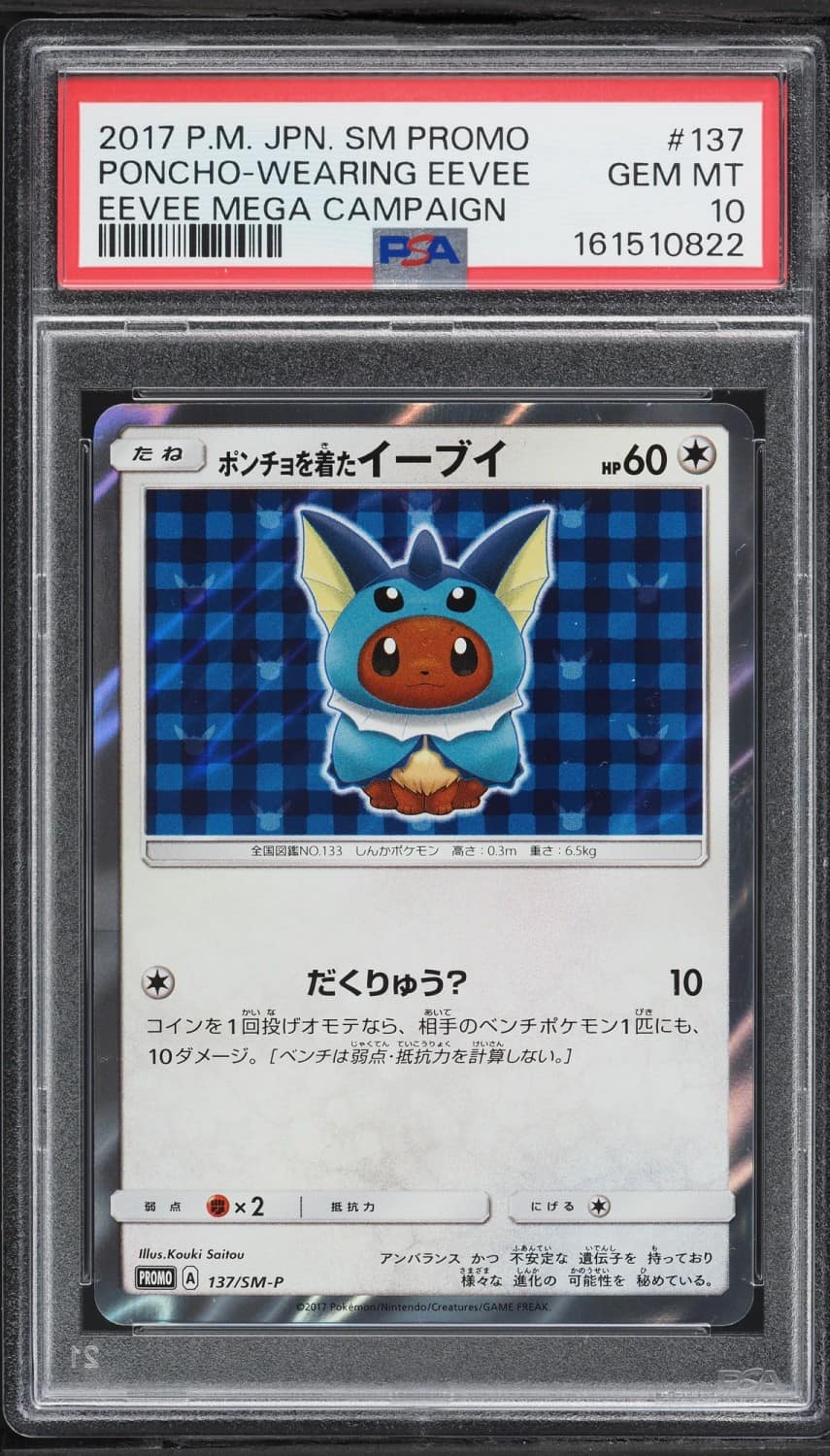 Poncho-Wearing Eevee