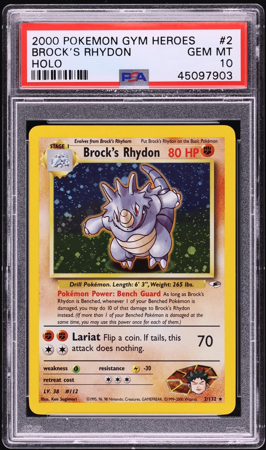 Brock'S Rhydon
