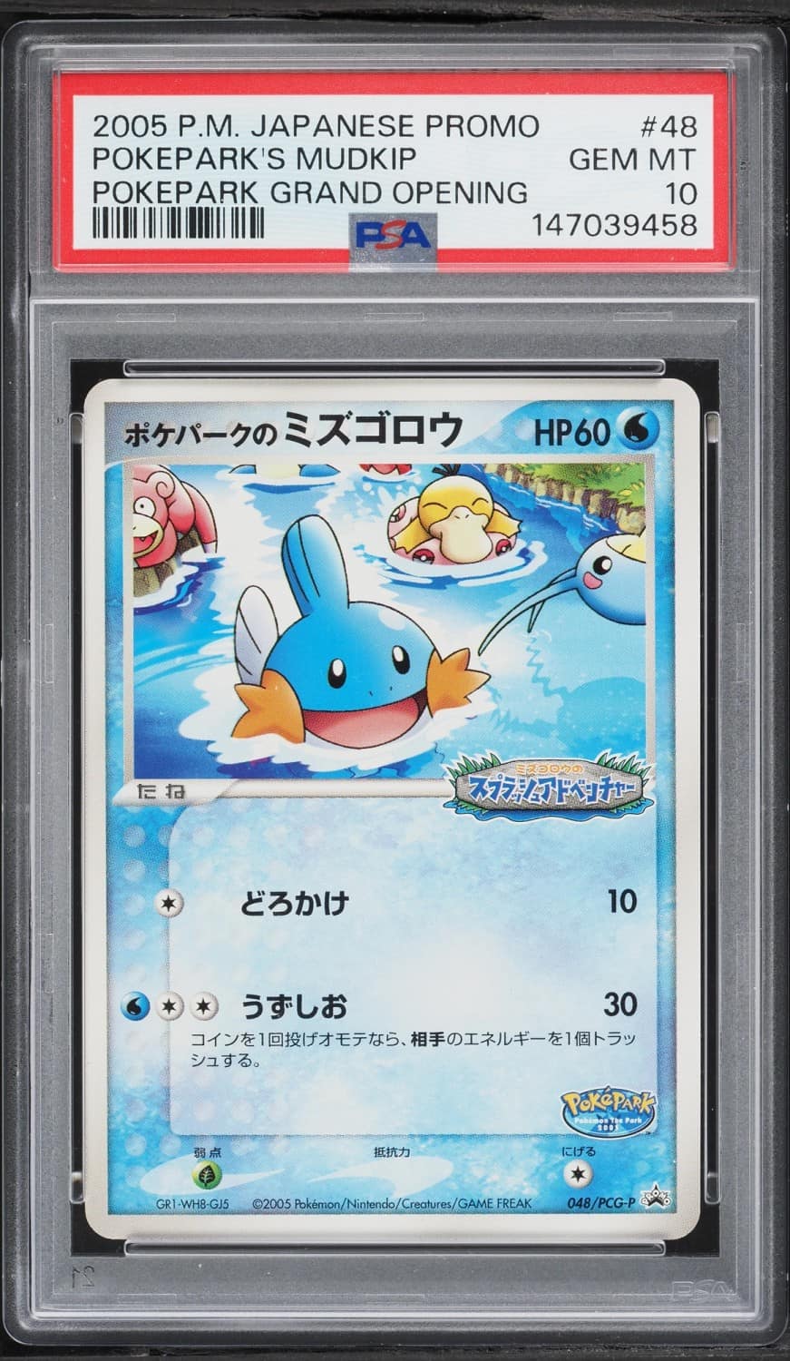 Pokepark'S Mudkip