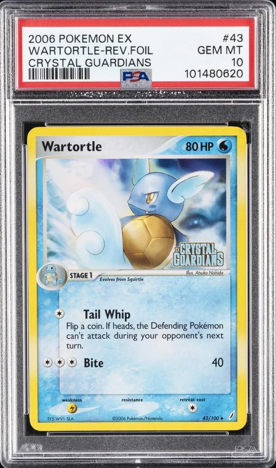 Wartortle