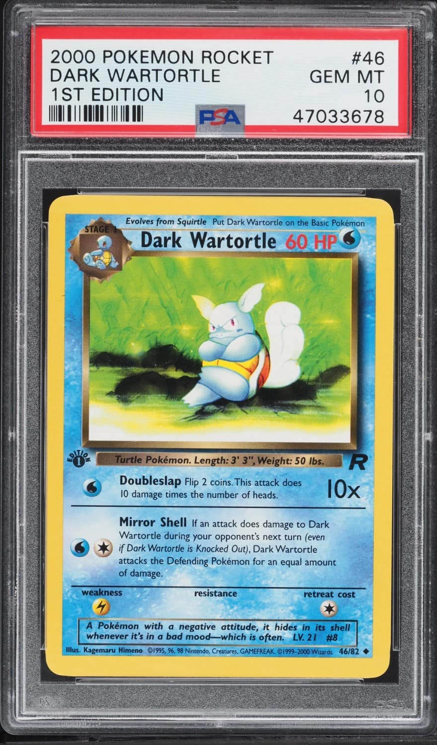 Dark Wartortle