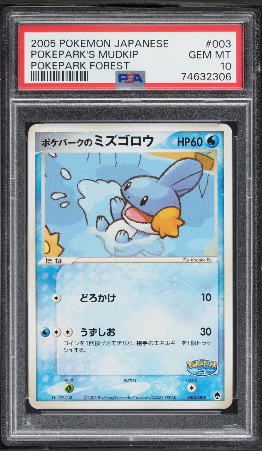 Pokepark'S Mudkip