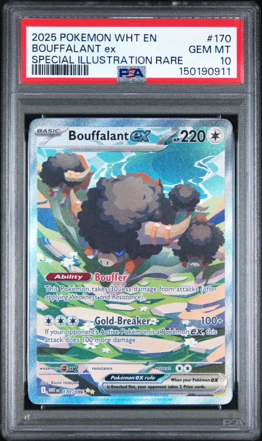 Bouffalant Ex