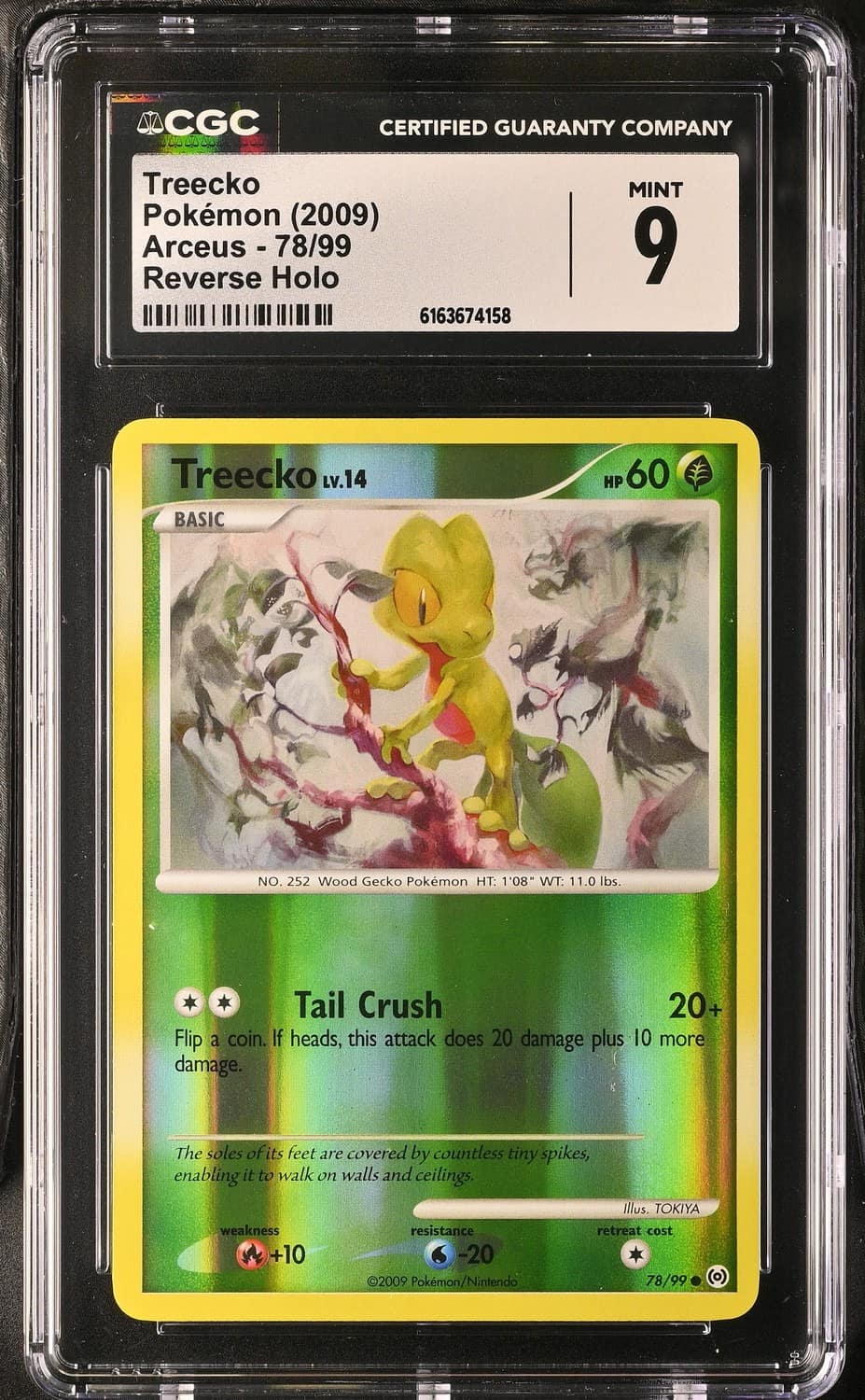 Treecko