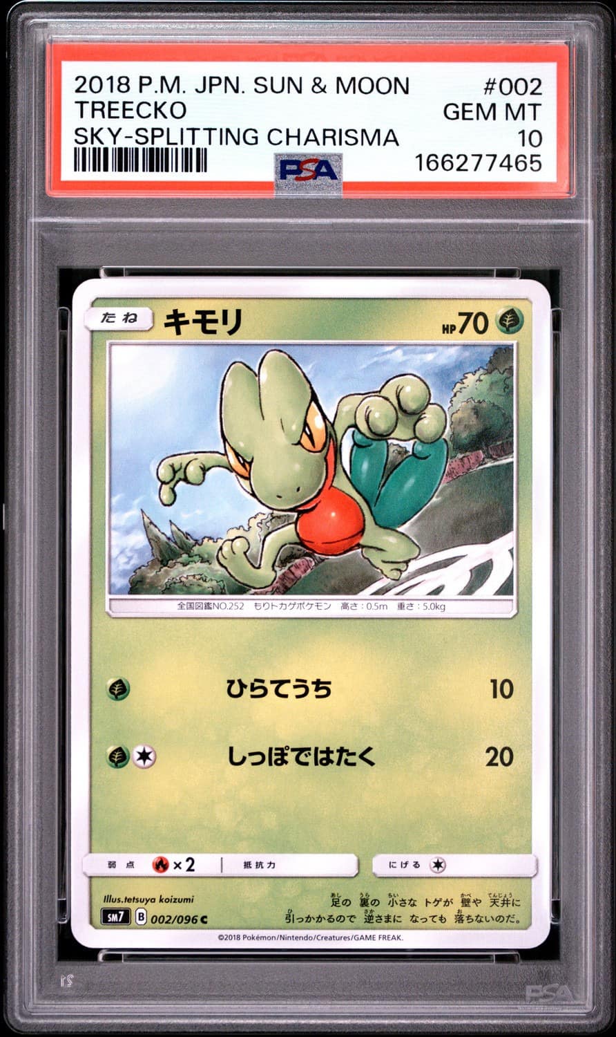 Treecko
