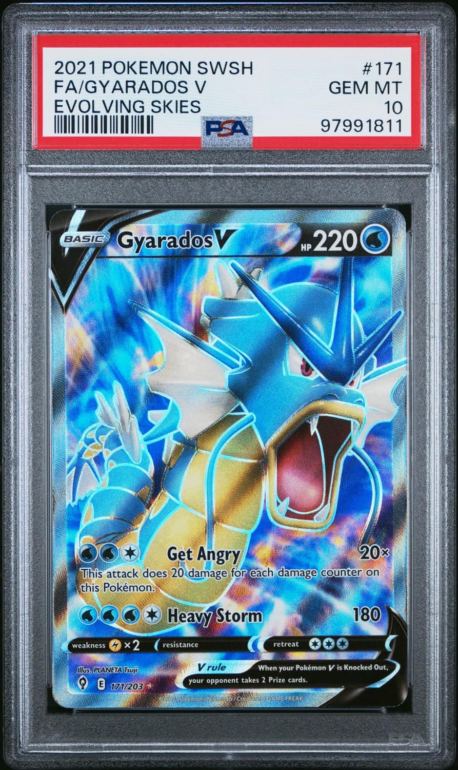 Gyarados V