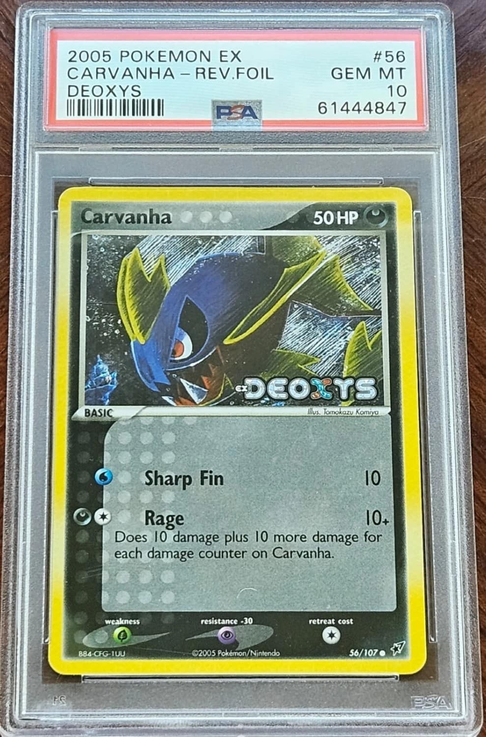 Carvanha