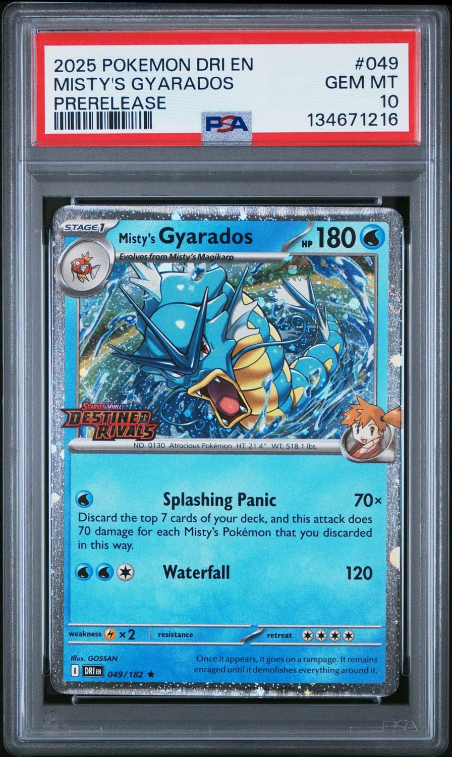 Misty'S Gyarados