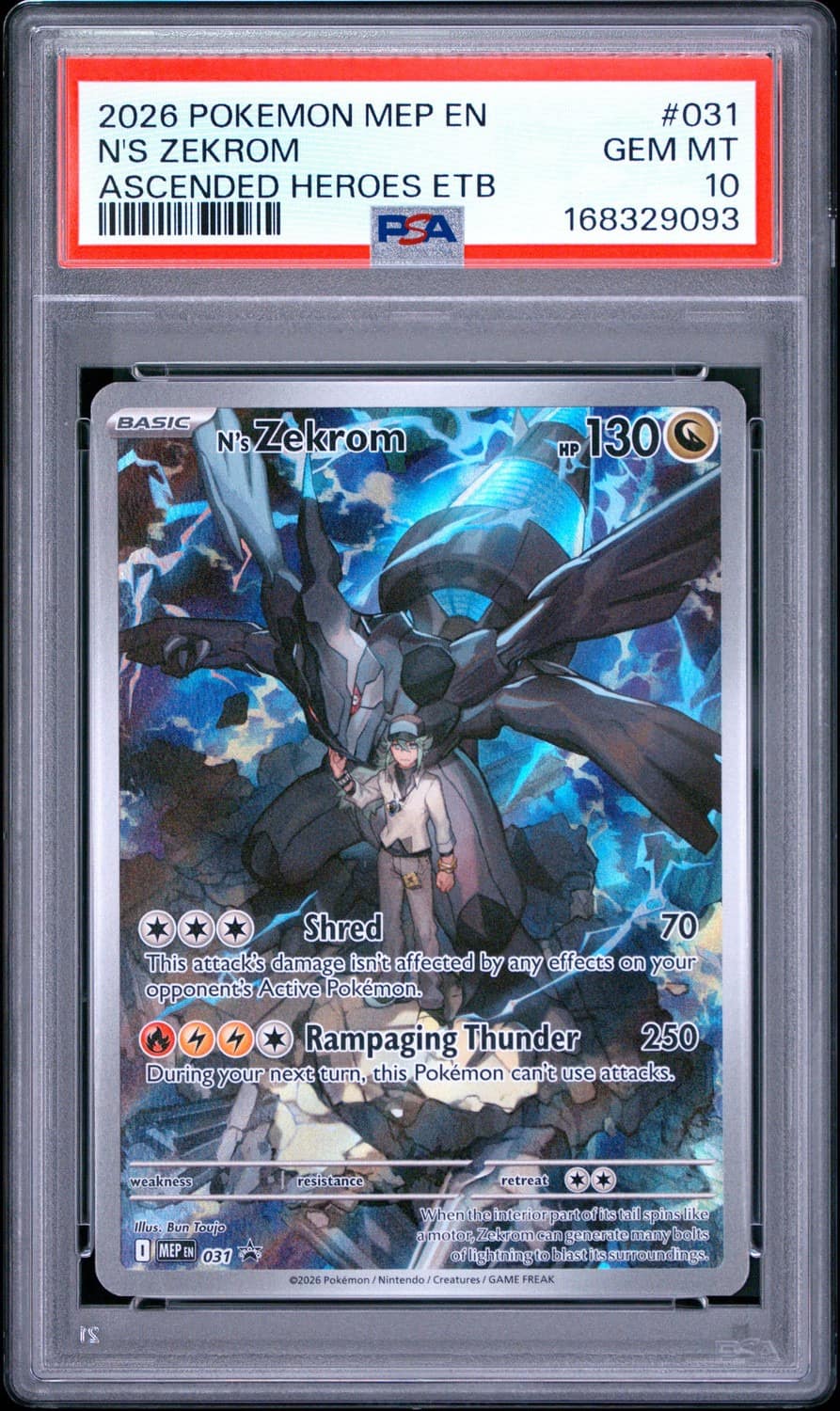 N'S Zekrom