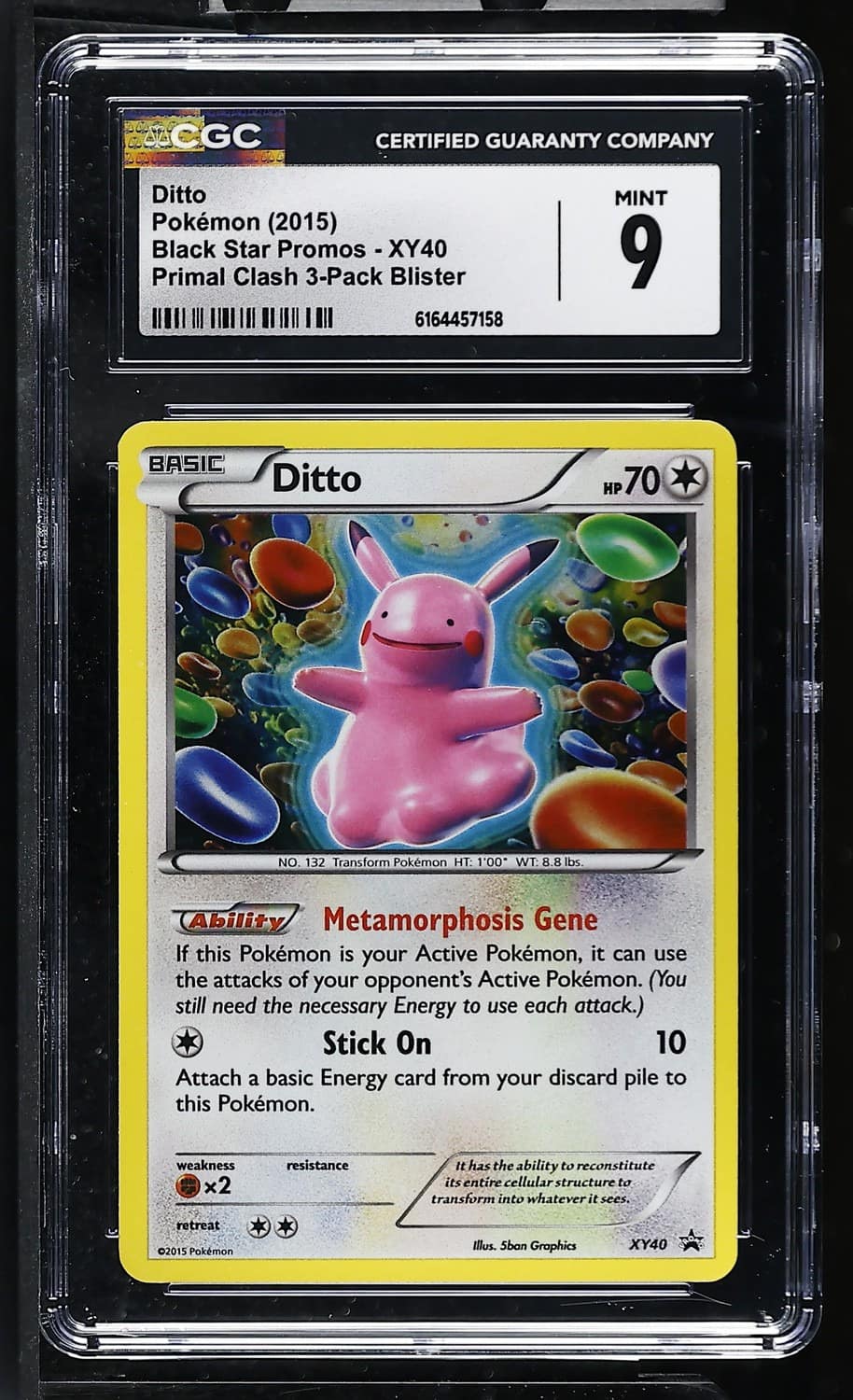 Ditto