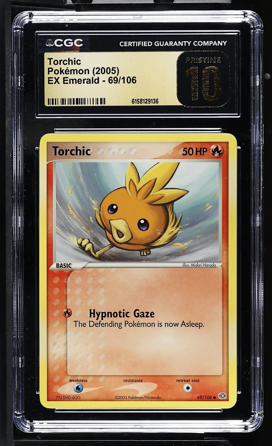 Torchic