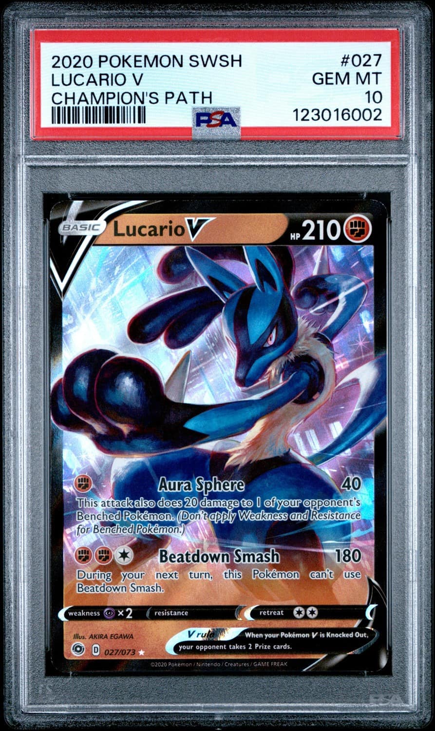 Lucario V