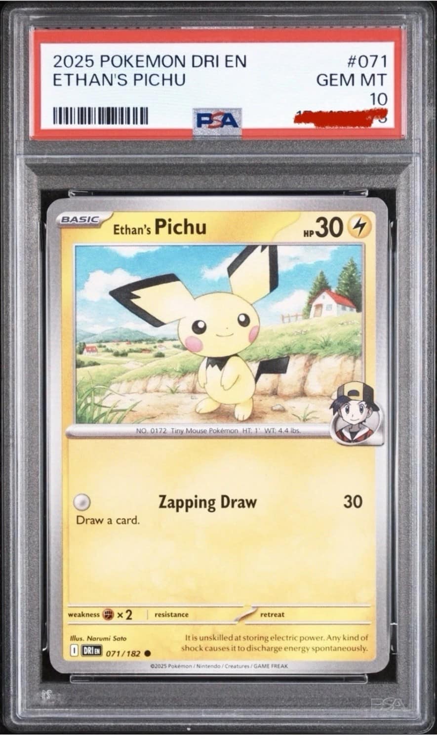 Ethan'S Pichu
