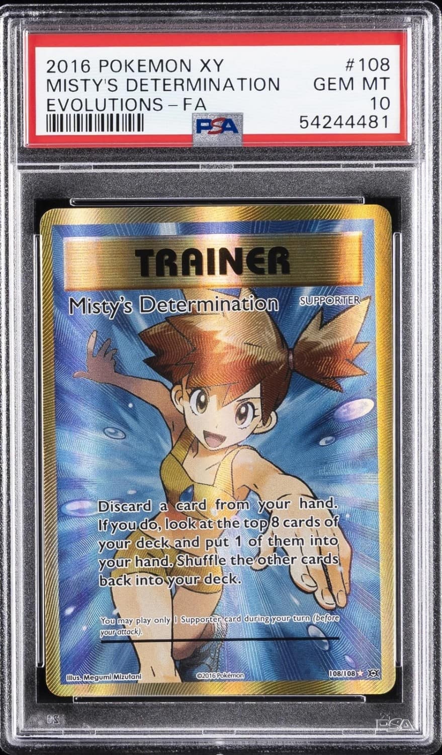 Misty'S Determination