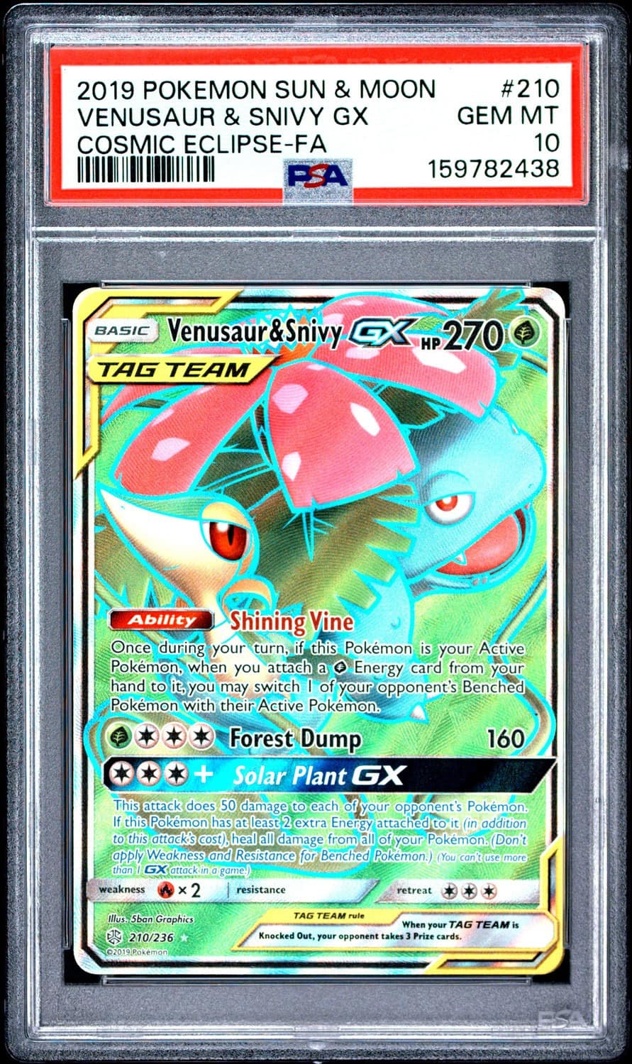 Venusaur & Snivy Gx