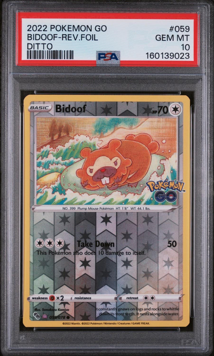 Bidoof