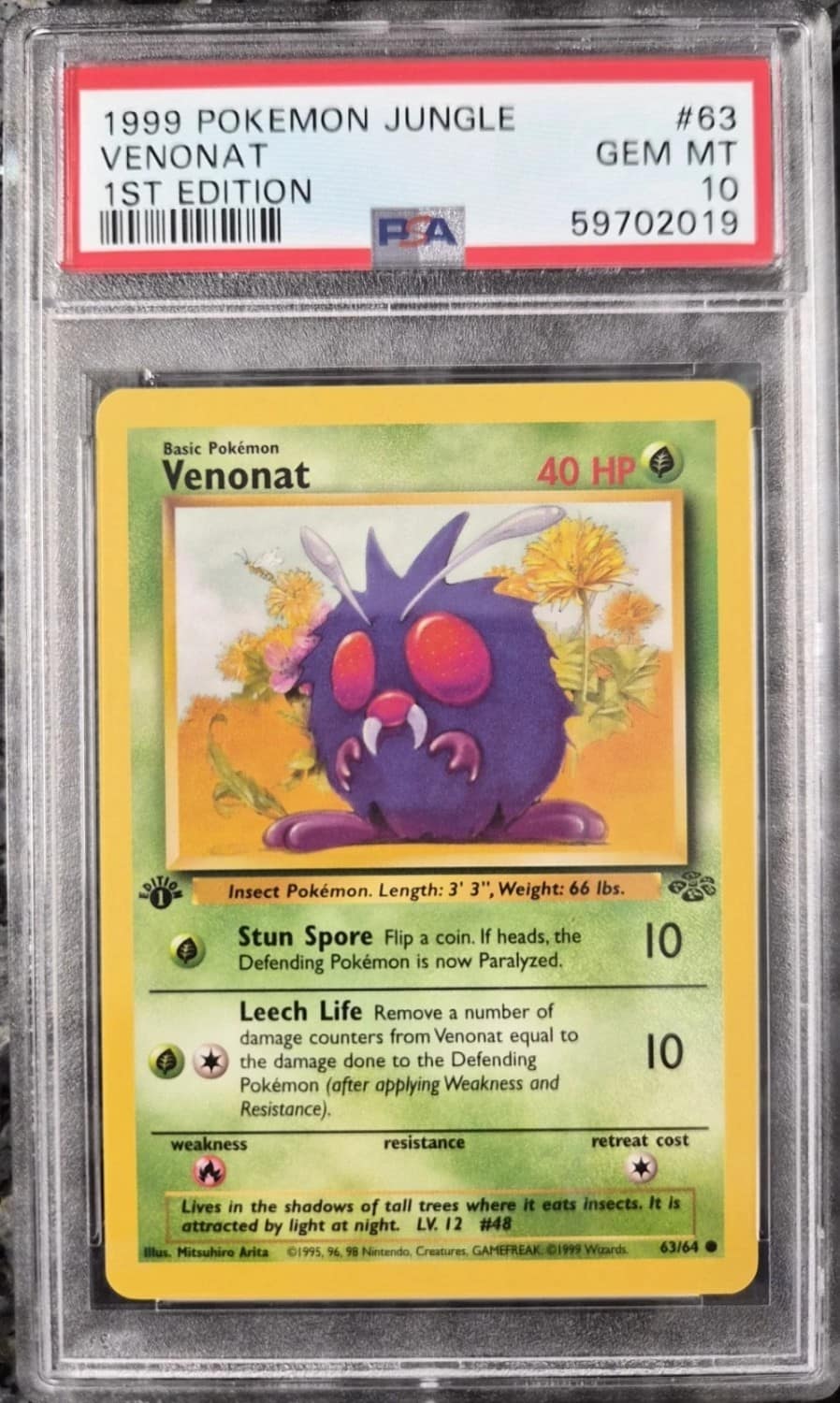 Venonat