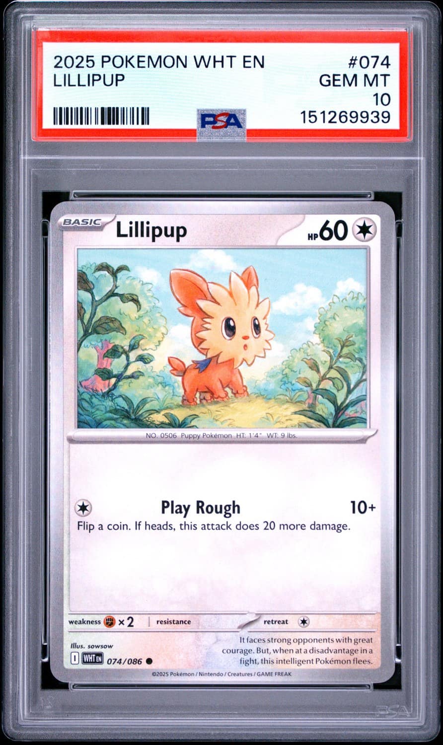 Lillipup