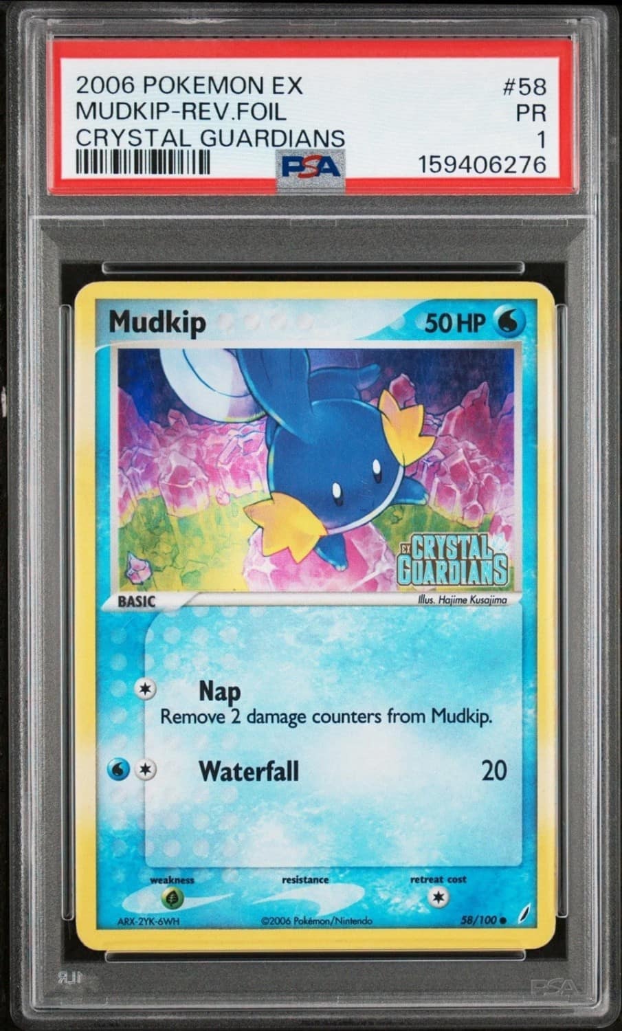 Mudkip