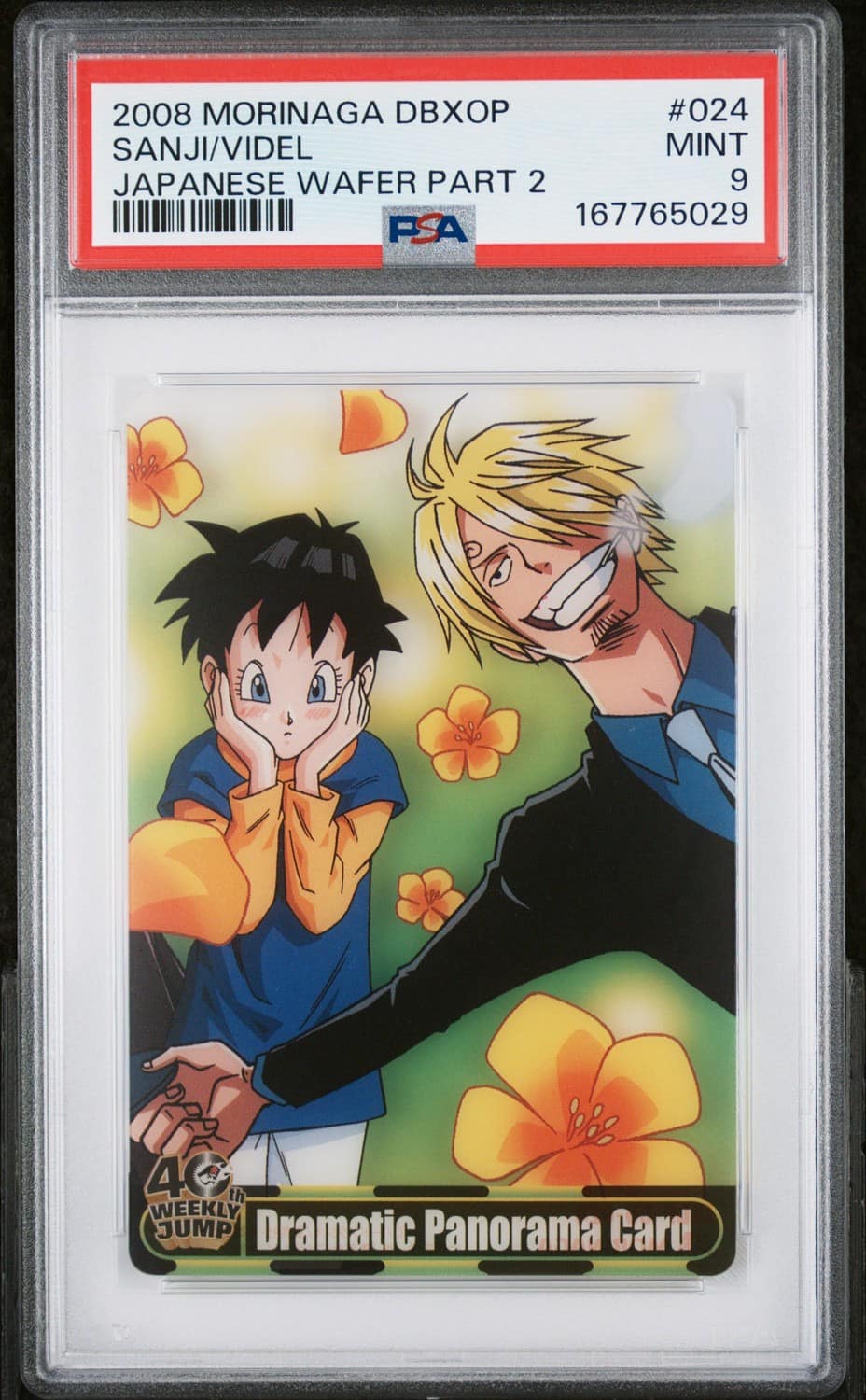 Sanji/videl