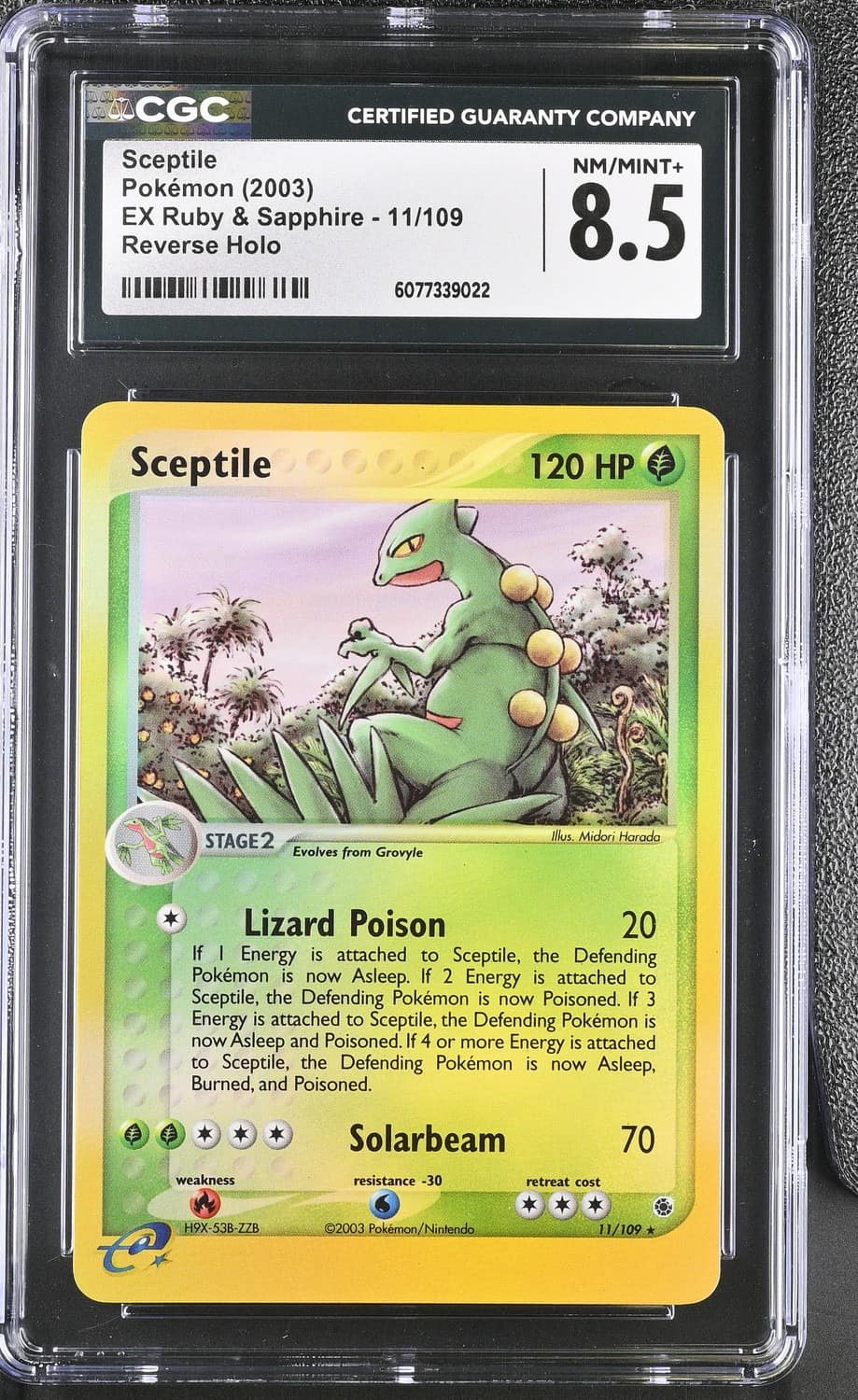 Sceptile