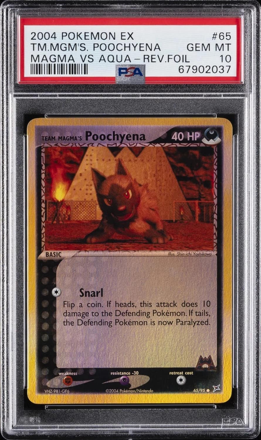 Team Magma'S Poochyena