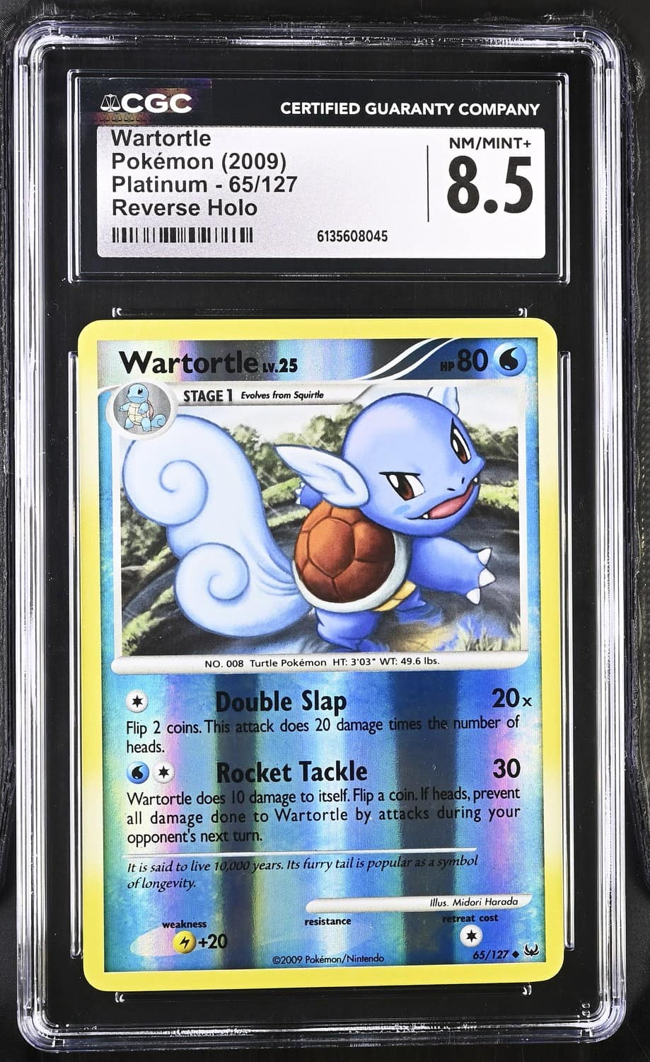 Wartortle