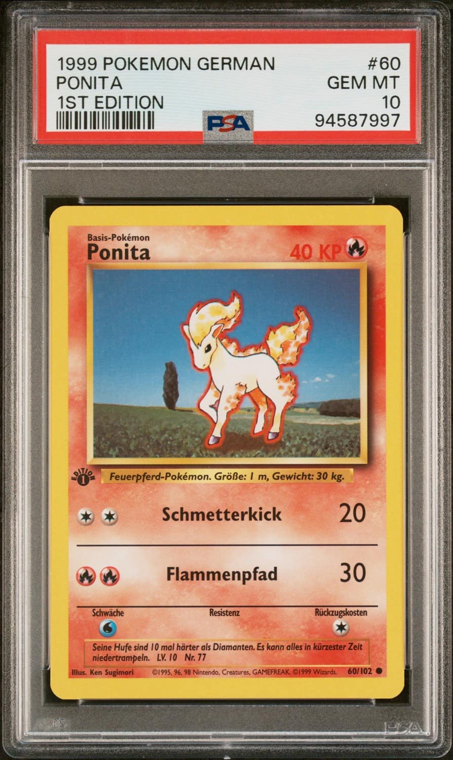 Ponyta