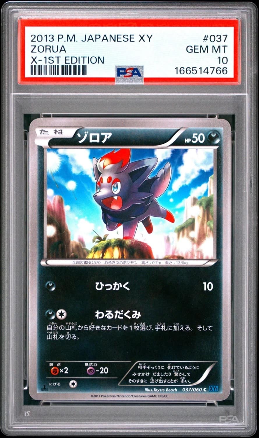 Zorua