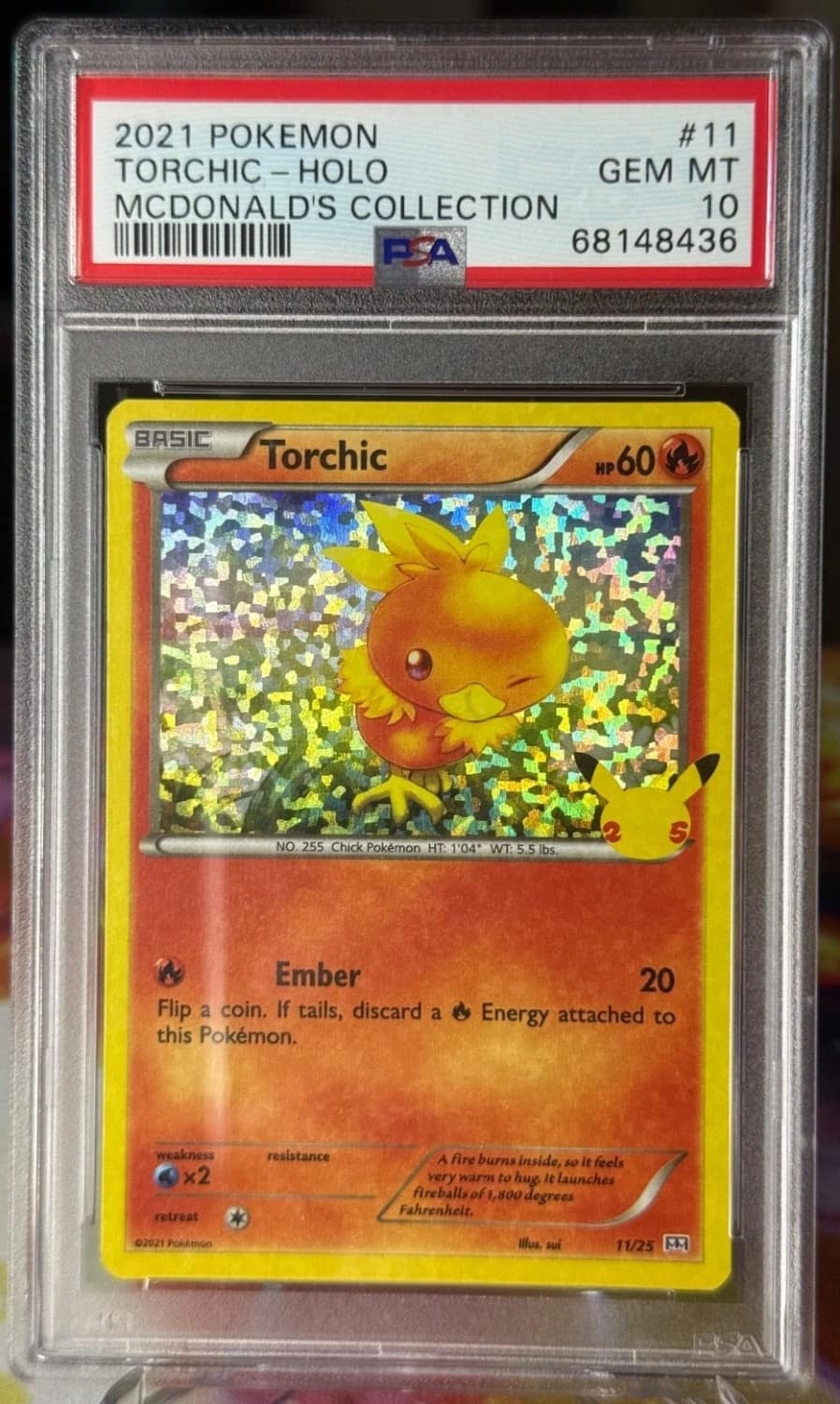 Torchic