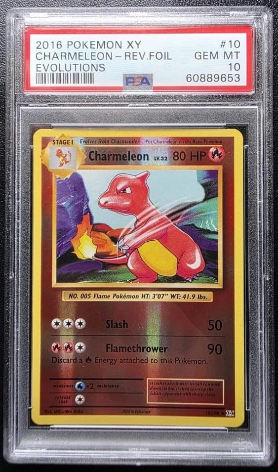 Charmeleon