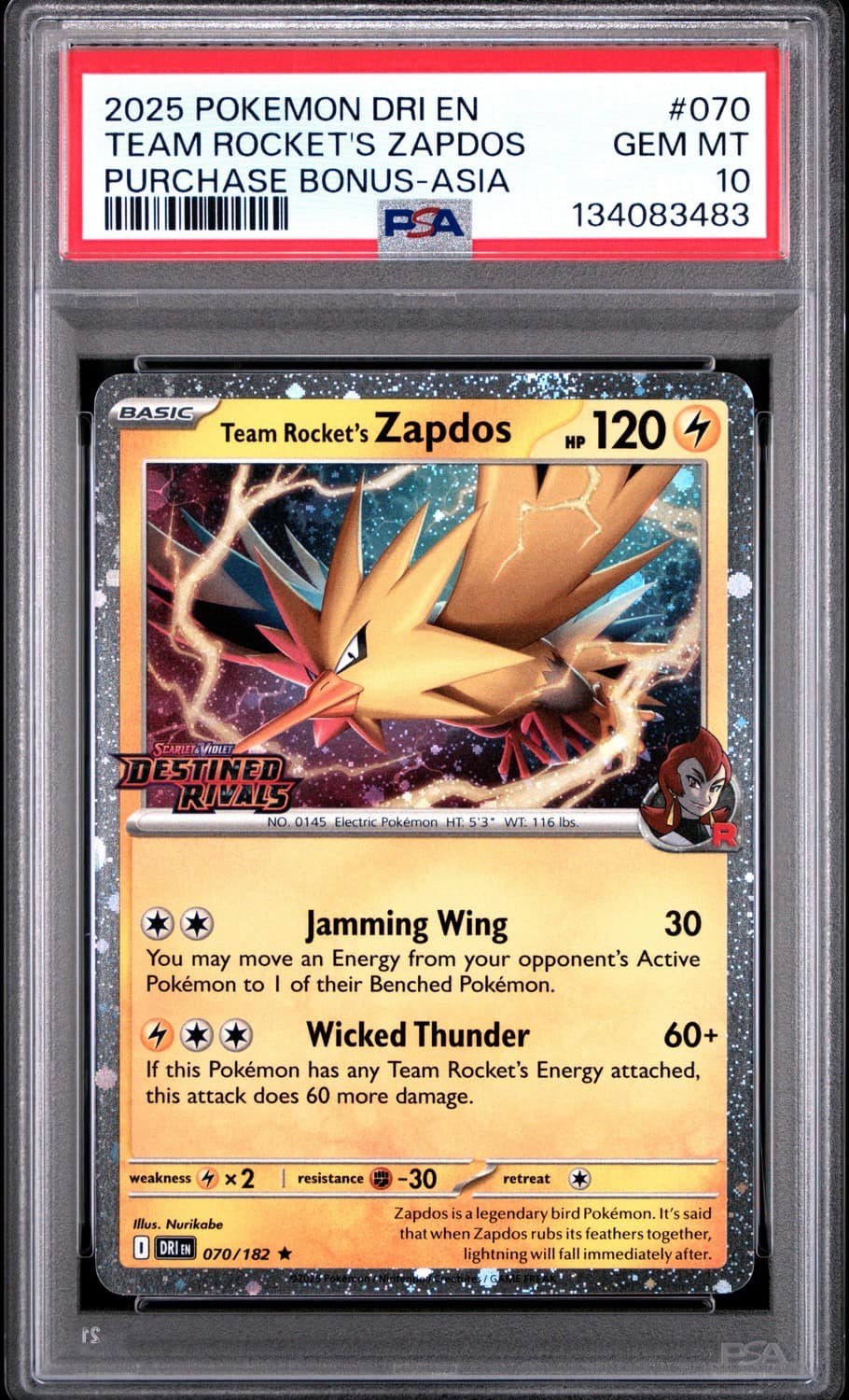 Team Rocket'S Zapdos