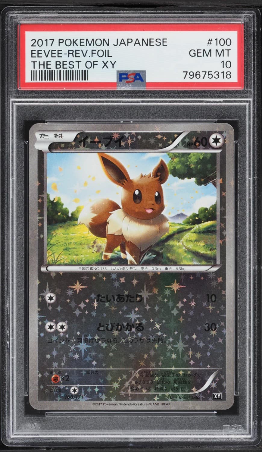 Eevee