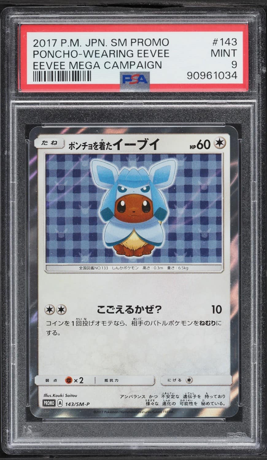 Poncho-Wearing Eevee