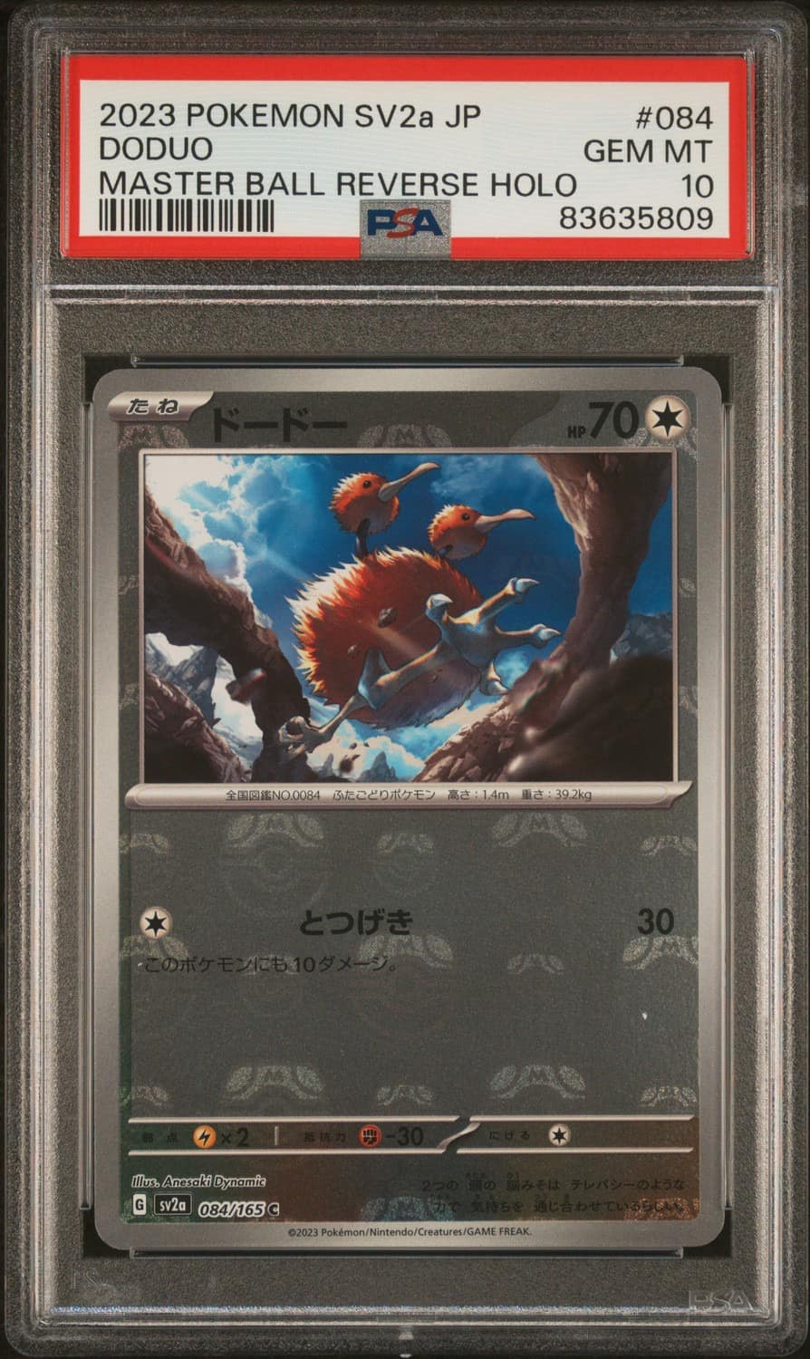 Doduo