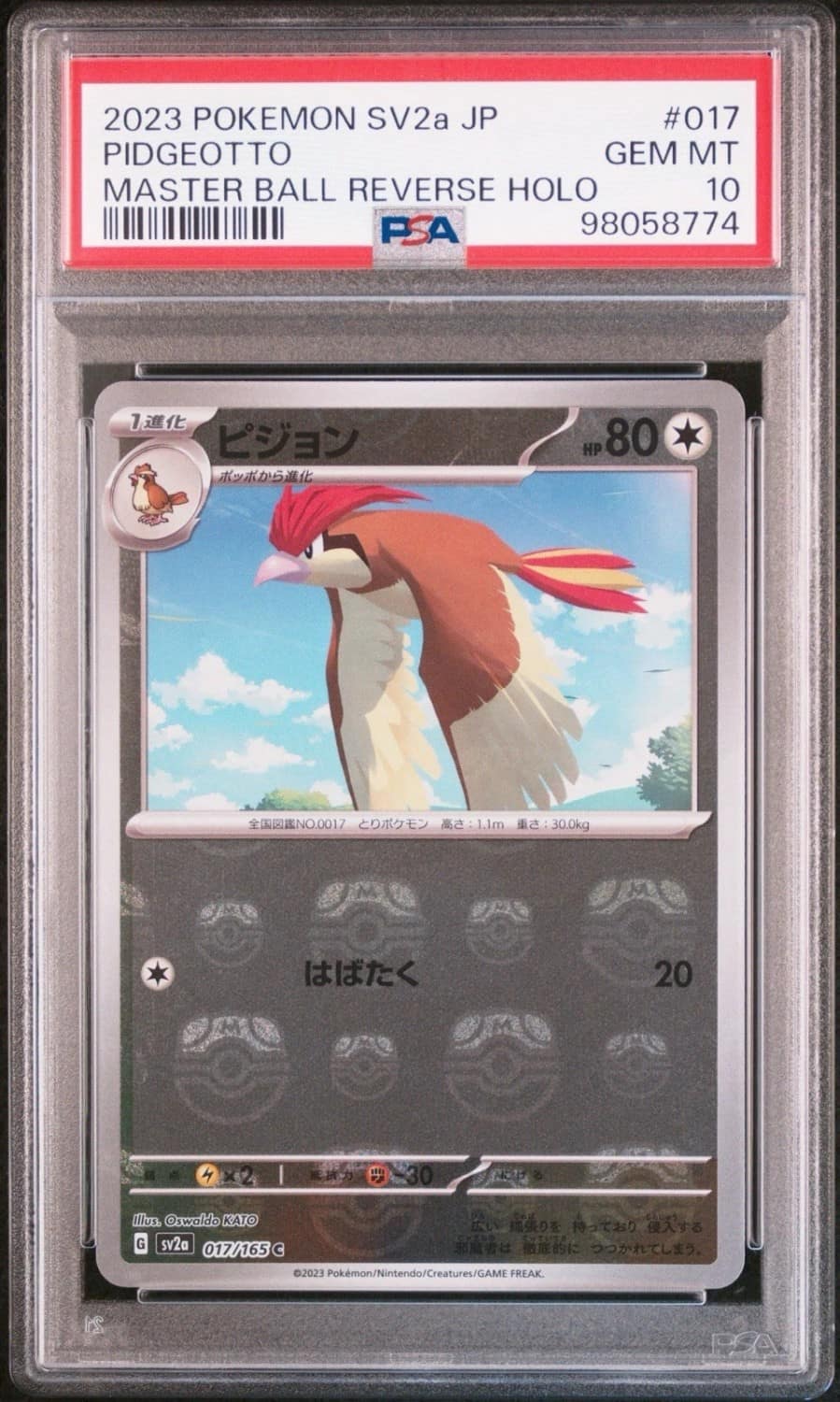 Pidgeotto