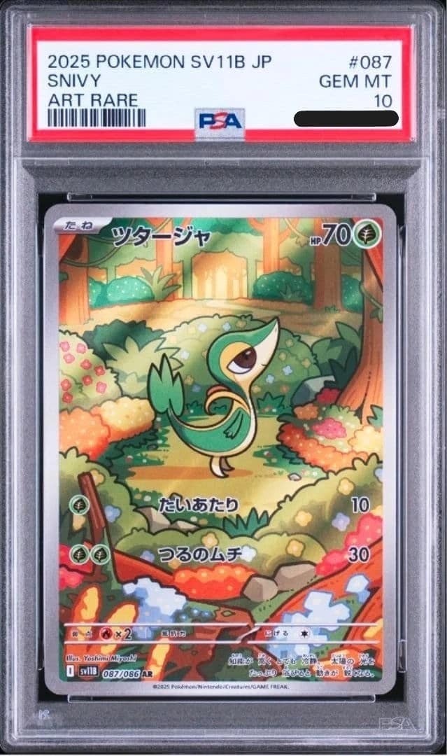 Snivy