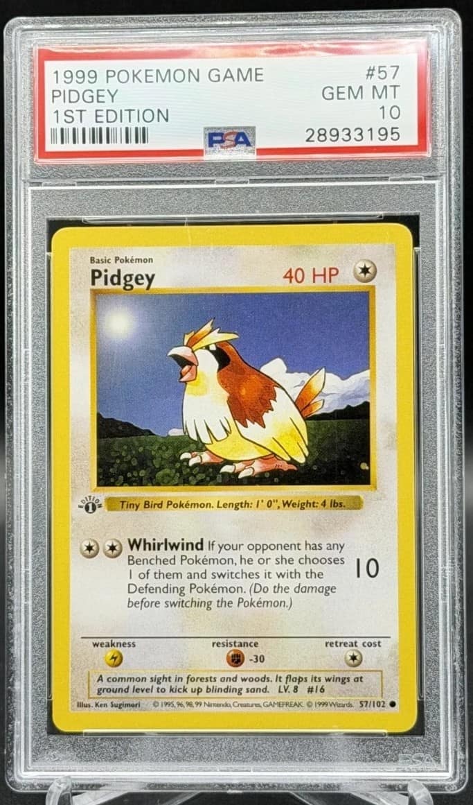 Pidgey
