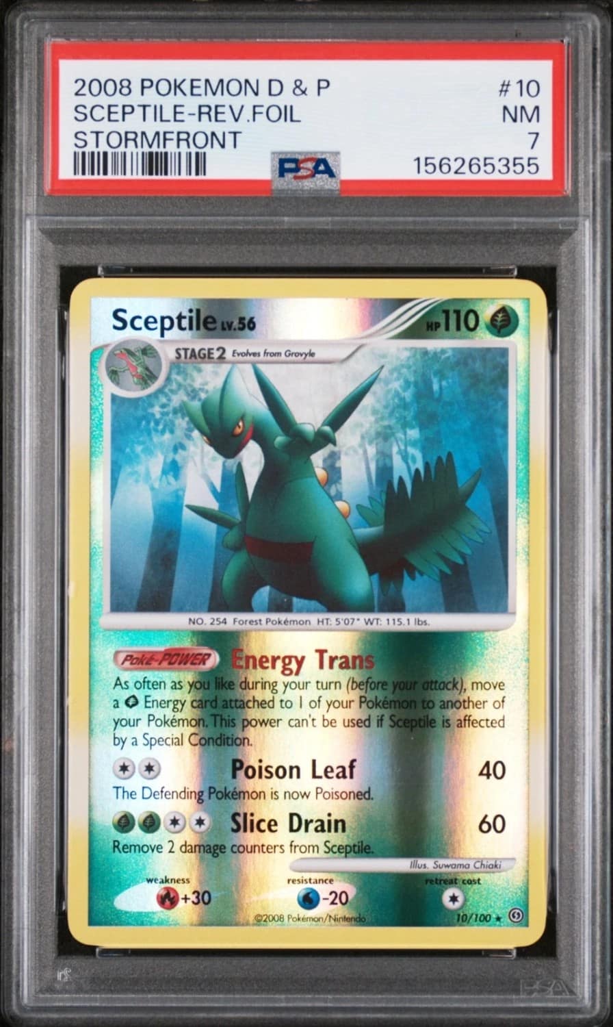 Sceptile