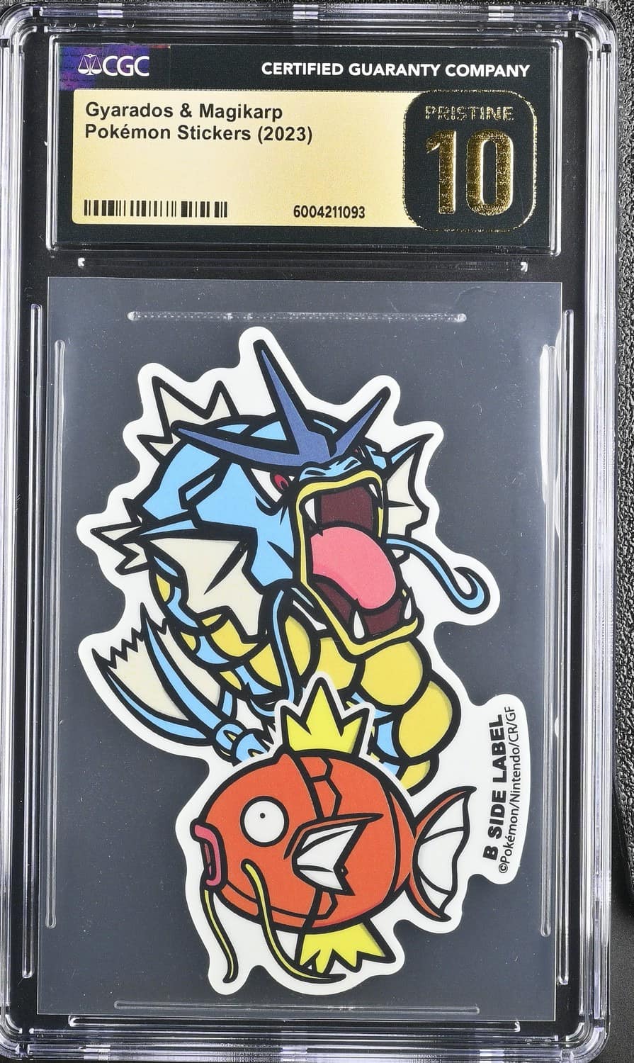 Gyarados & Magikarp