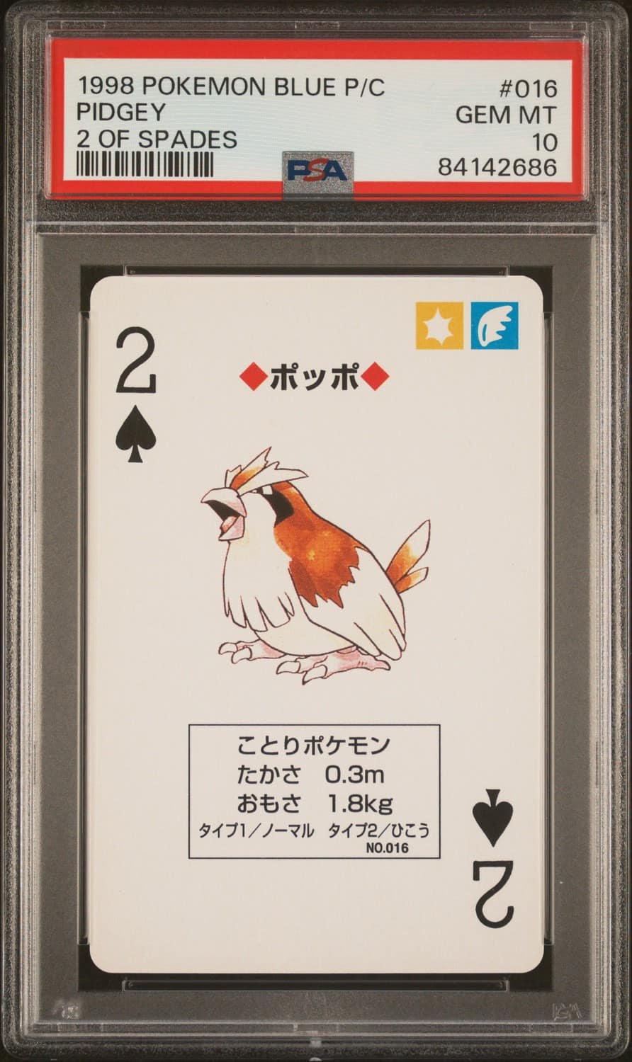 Pidgey