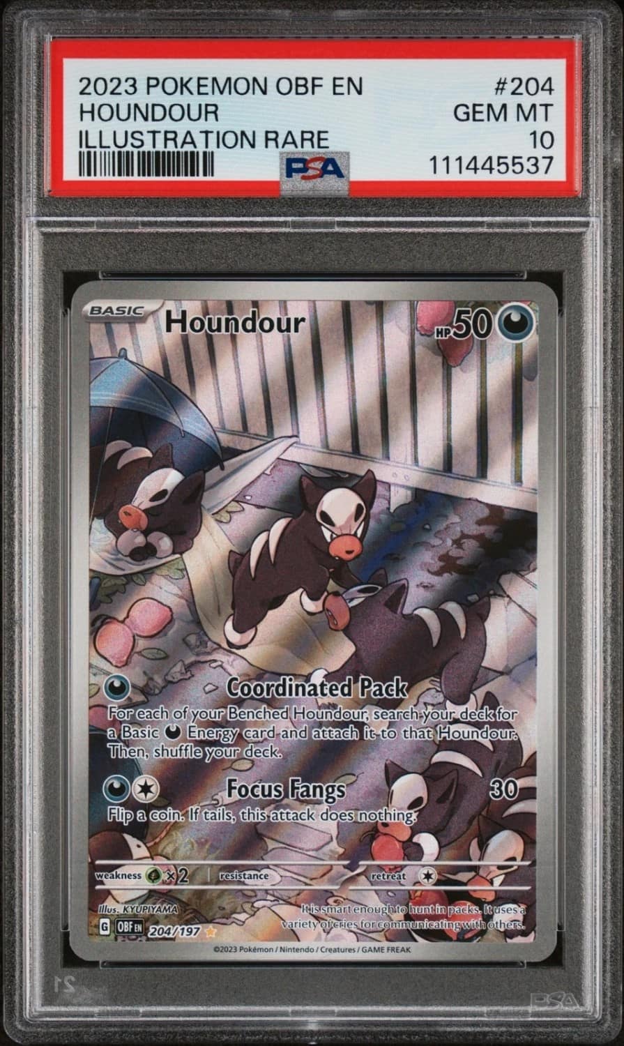 Houndour