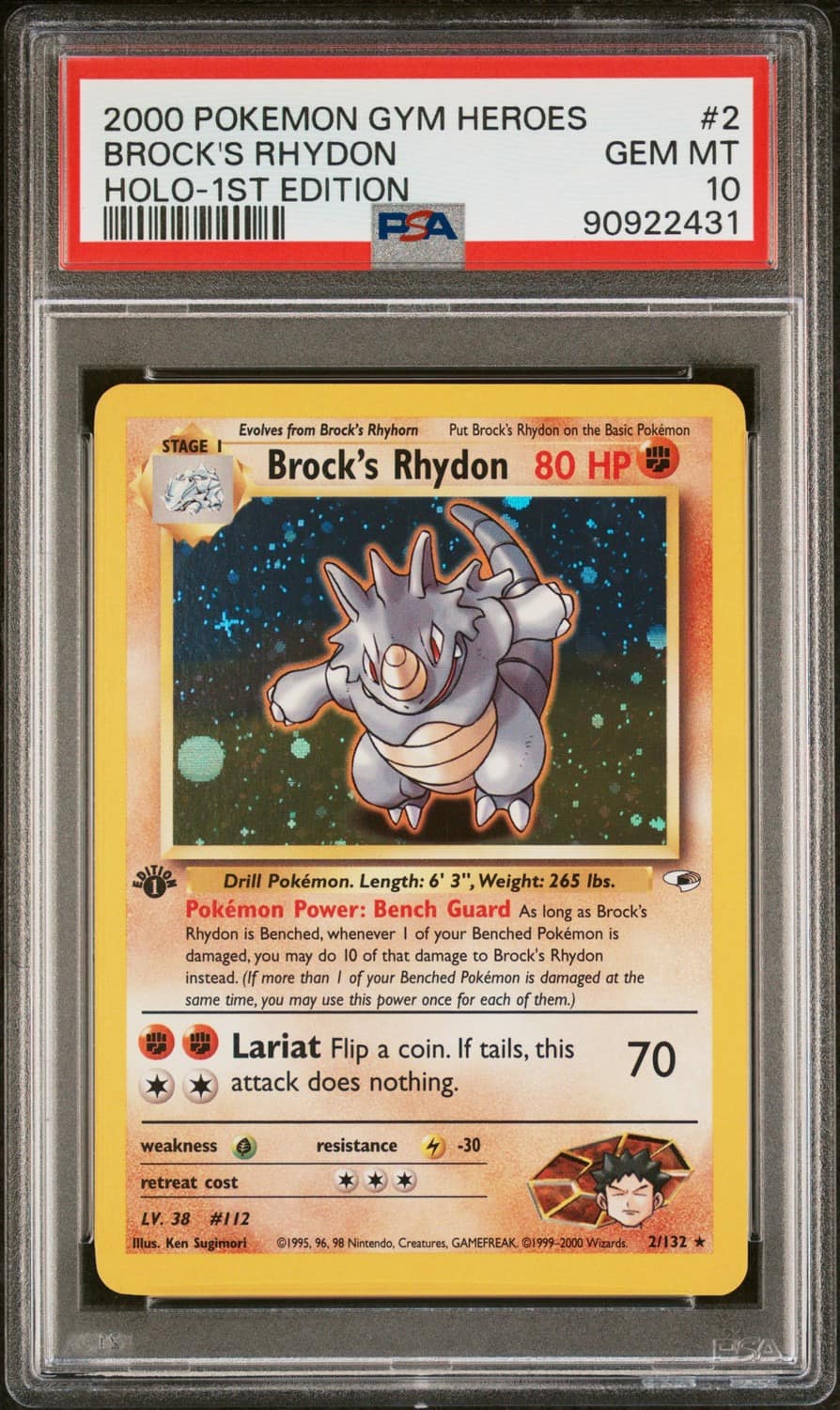 Brock'S Rhydon