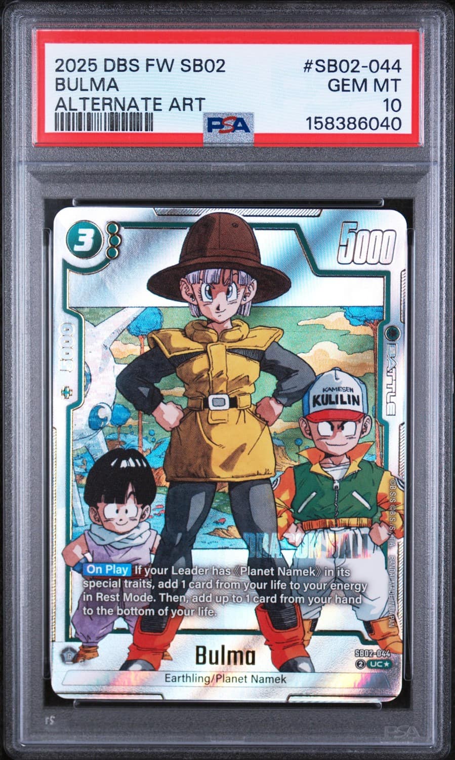 Bulma