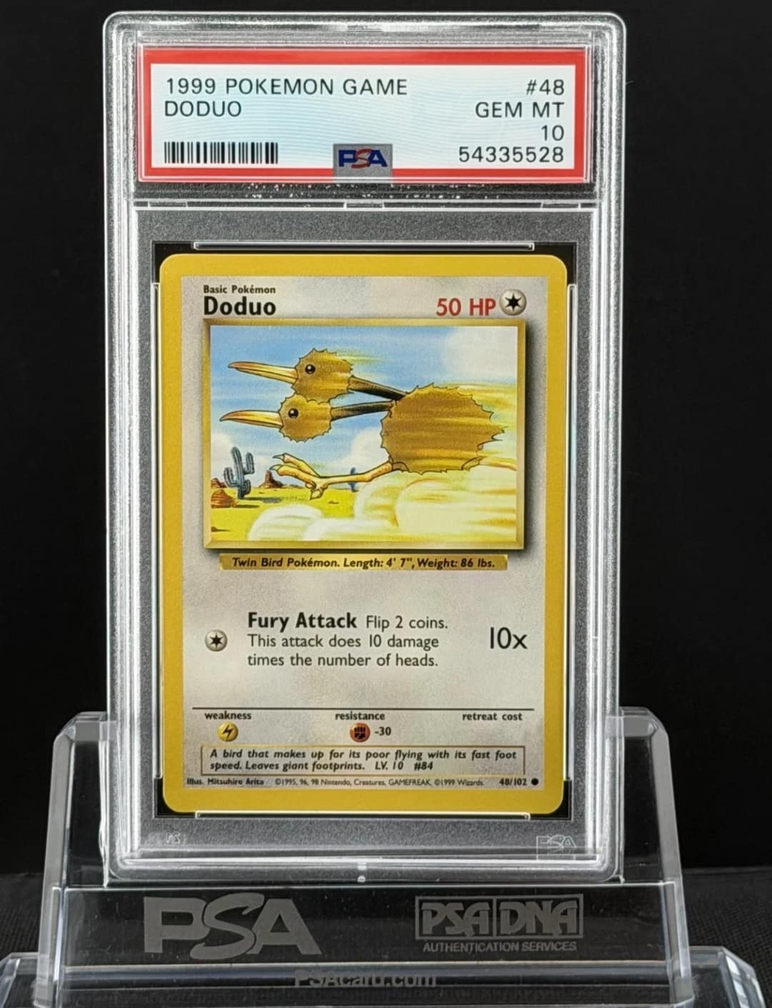 Doduo