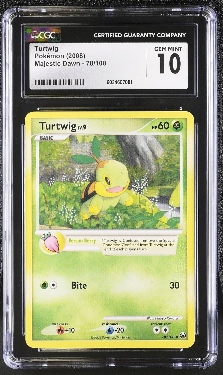 Turtwig