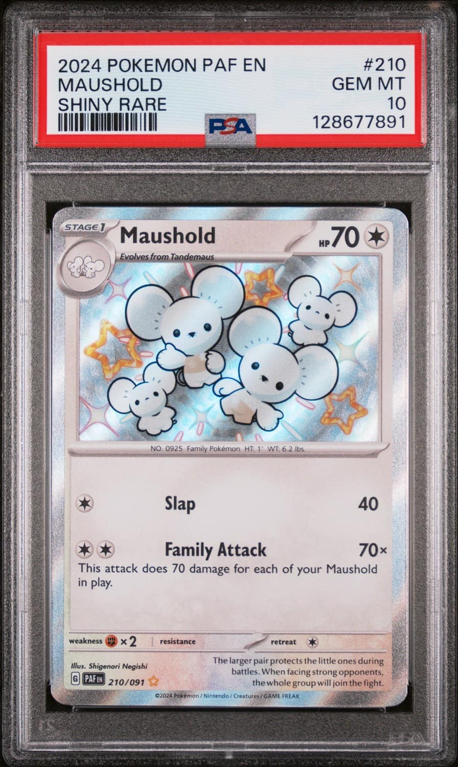 Maushold