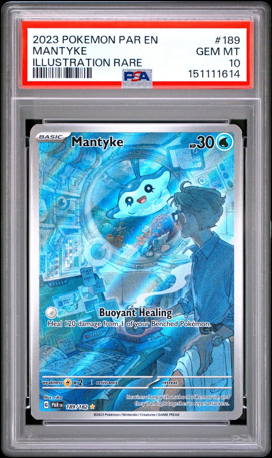 Mantyke