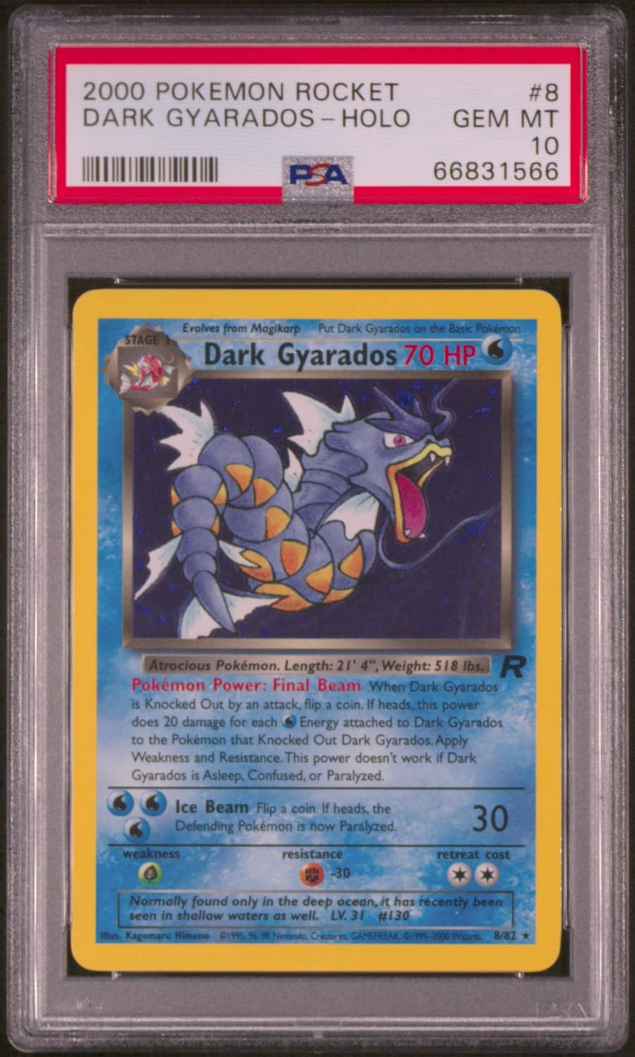 Dark Gyarados